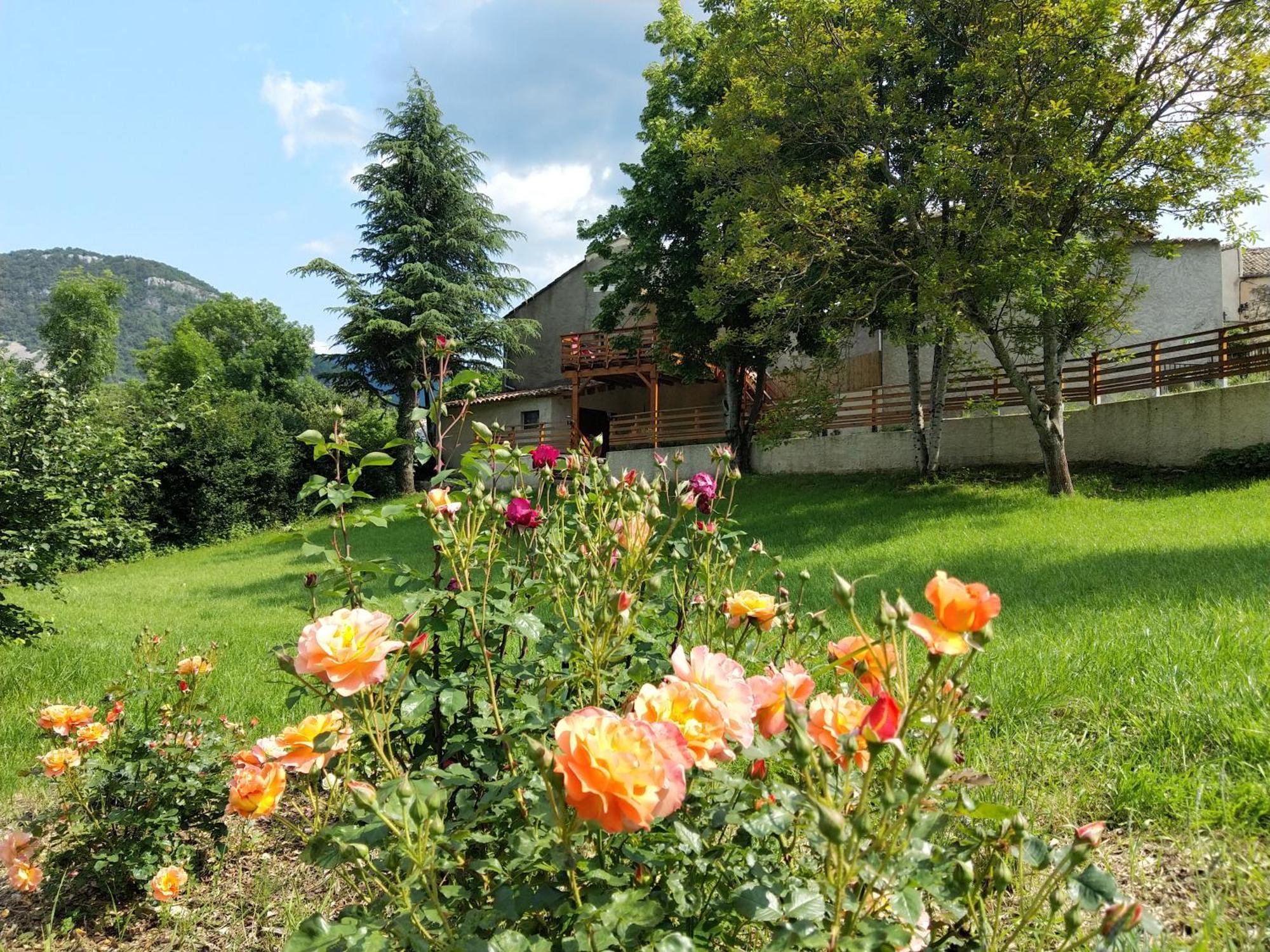 Gite En Haute Provence Montfroc Exterior photo
