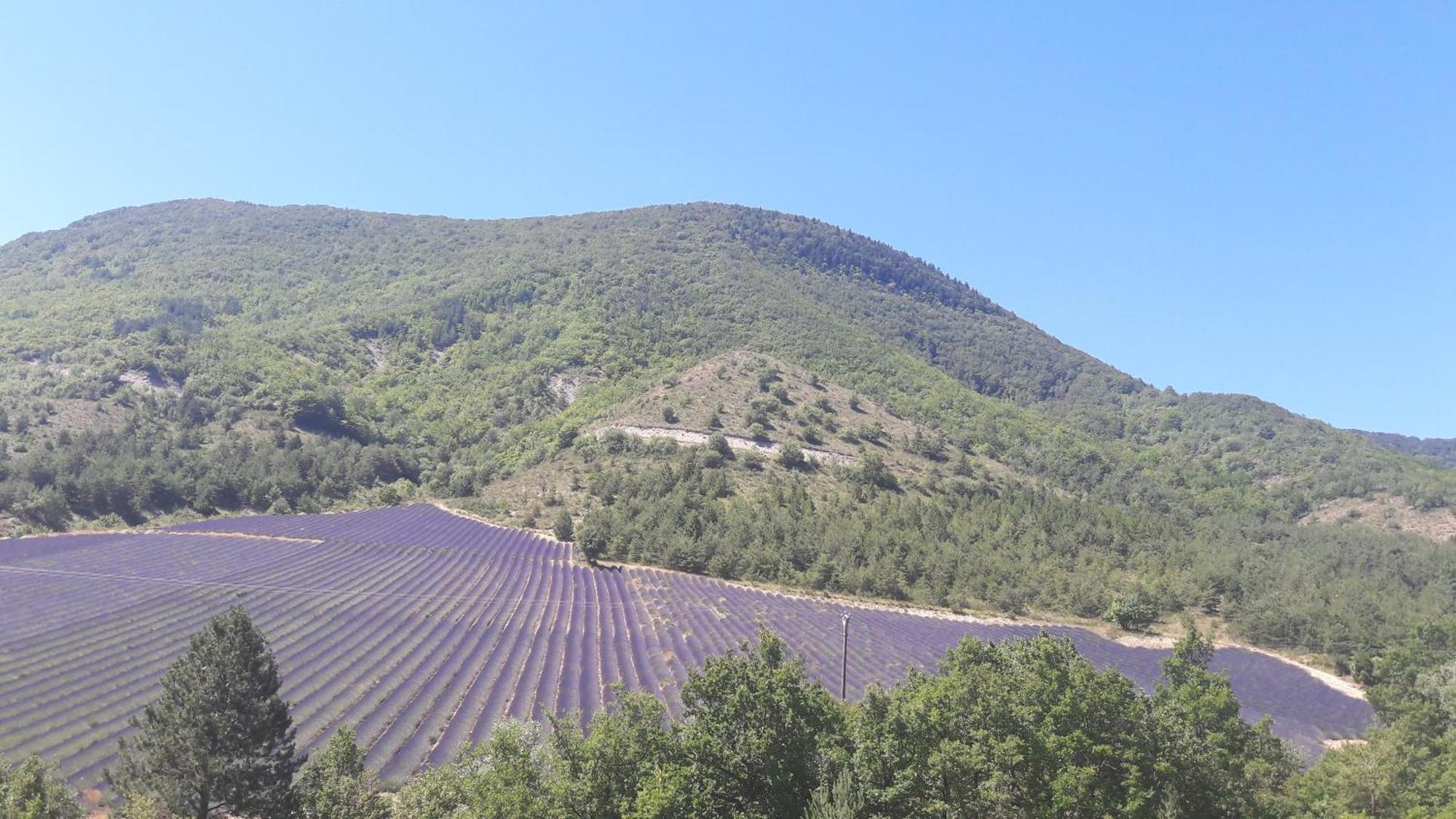 Gite En Haute Provence Montfroc Exterior photo